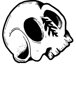 BLmainlogo 1