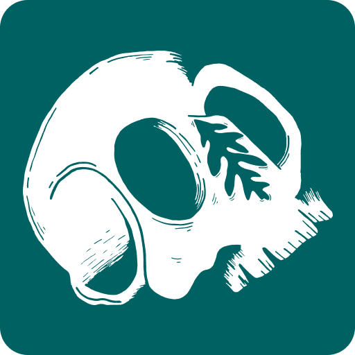 Broad Leaf Beer logo